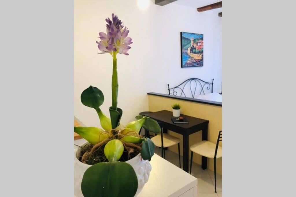 La Gianchina Di Vernazza - Central Cozy Apt Wi-Fi Exteriér fotografie